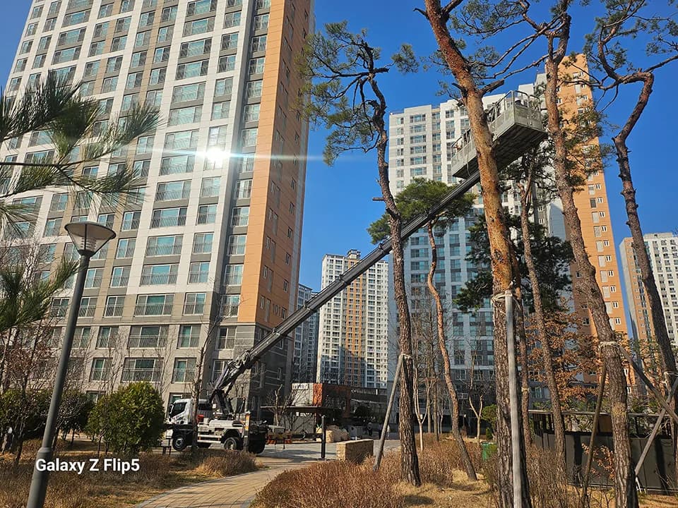 전지작업(가지치기) 현장